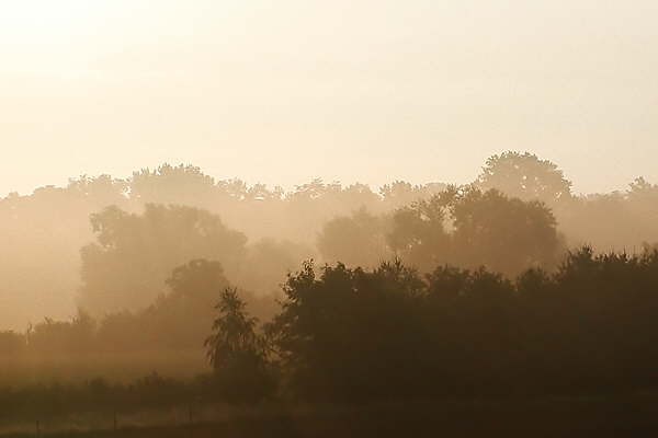 nebel02